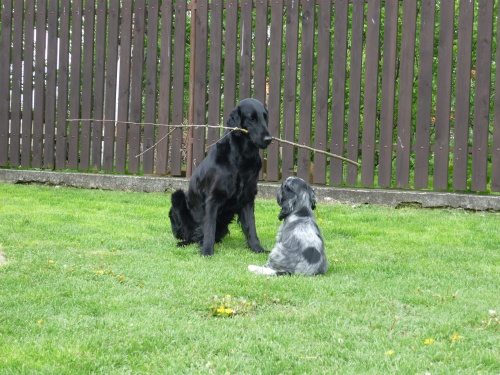 Berry 5.6.2010 (6).jpg